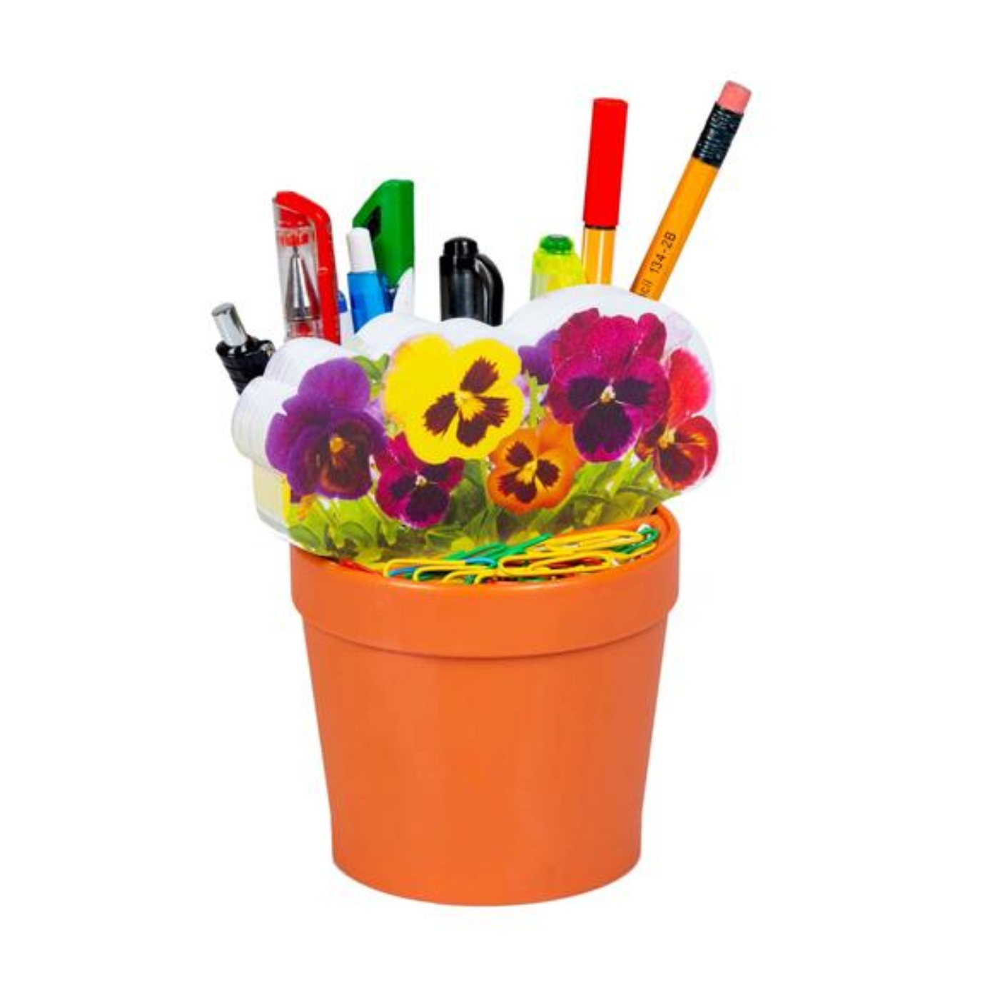 Gifts Greetings Thinking Gift Desk Plant Desk Tidy & Sticky Notes