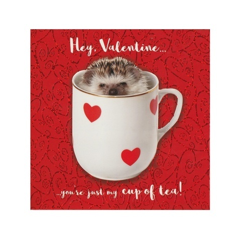 Nigel Quiney Valentines Day Card